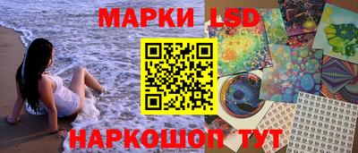 МДПВ Новокубанск