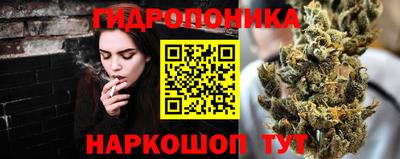 МДПВ Новокубанск