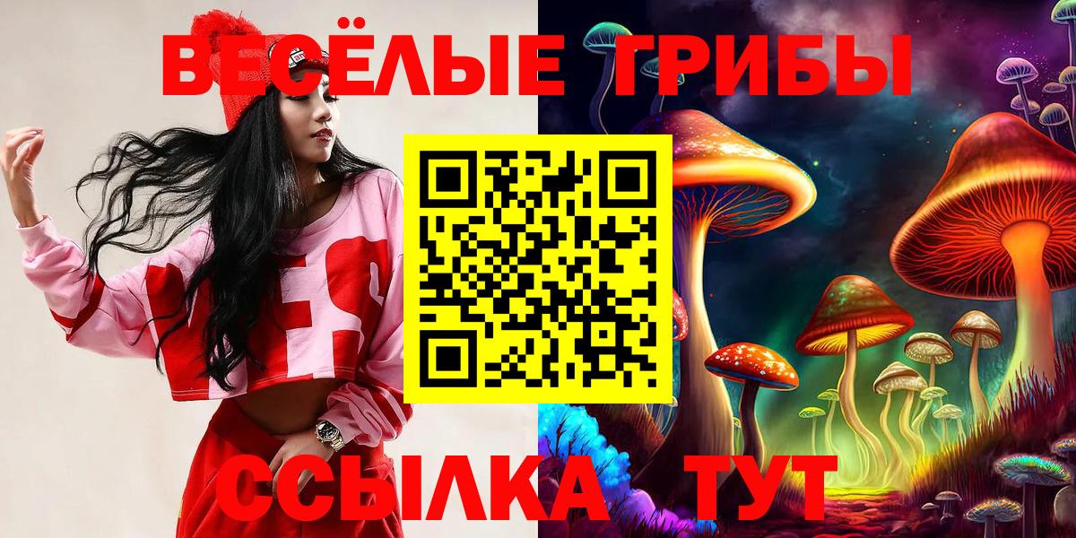 Псилоцибиновые грибы Cubensis Нижнеудинск