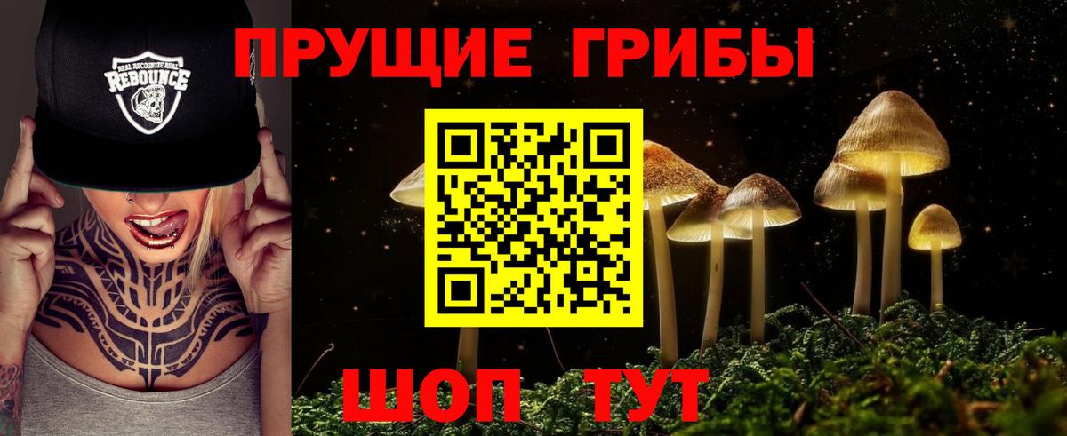 Псилоцибиновые грибы мицелий  Вход с VPN  Нижнеудинск 
